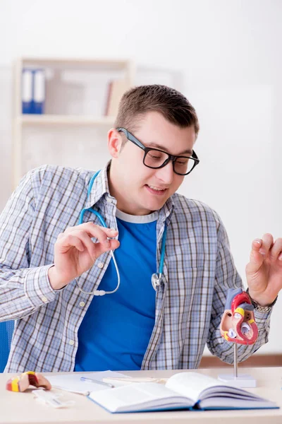 Estudante de medicina estudando coração em sala de aula durante palestra — Fotografia de Stock