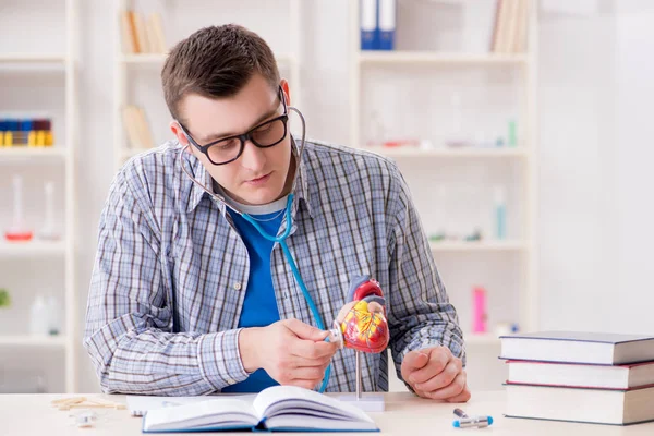 Student medicíny studující srdce ve třídě během přednášky — Stock fotografie