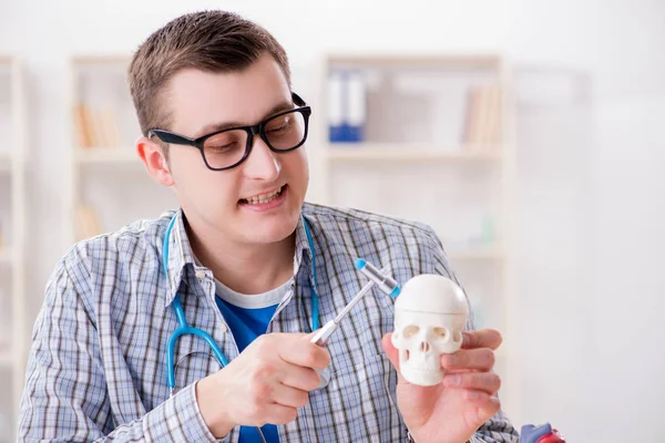 Студент-медик изучает скелет в классе во время лекции — стоковое фото