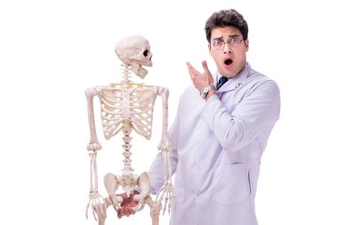 Beyaz izole iskelet ile genç doktor