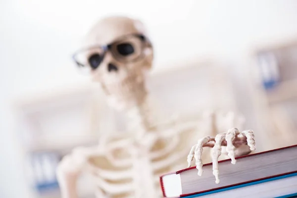 Студенческий скелет готовится к экзаменам — стоковое фото