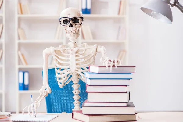 Student skeleton preparing for exams — Stock Photo, Image