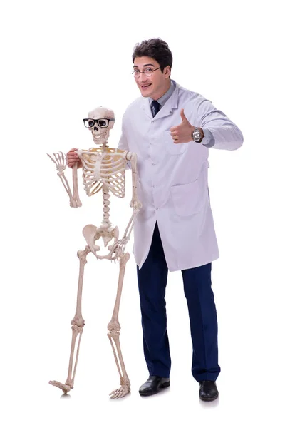 Médico jovem com esqueleto isolado em branco — Fotografia de Stock