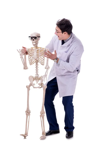 Jeune médecin avec squelette isolé sur blanc — Photo
