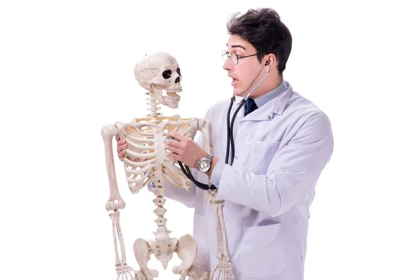 Młody lekarz z szkielet na białym tle — Zdjęcie stockowe