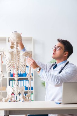 İskeleti beyaz olan Yong erkek doktoru.