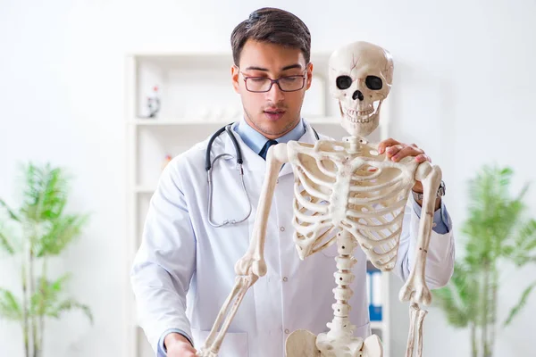 Yong médico masculino com esqueleto isolado em branco — Fotografia de Stock