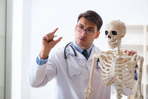 Yong male doctor with skeleton isolated on white — Stock Photo, Image