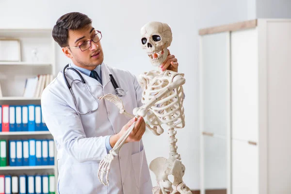 Yong médico masculino com esqueleto isolado em branco — Fotografia de Stock