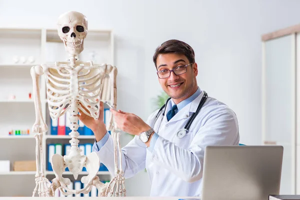 Yong médico masculino con esqueleto aislado en blanco — Foto de Stock