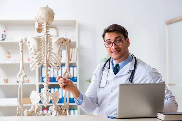 Γιονγκ Αρσενικό Γιατρό Σκελετό Απομονώνονται Λευκό — Φωτογραφία Αρχείου