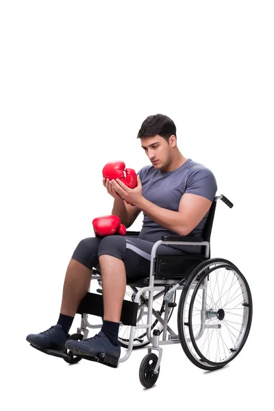Boxer se recuperando de lesão na cadeira de rodas — Fotografia de Stock
