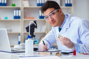 Paleontolojist soyu tükenmiş hayvan kemiklerine bakıyor