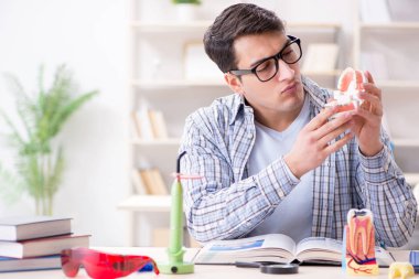 Tıp öğrencileri sınıfta diş hekimliği öğreniyor.