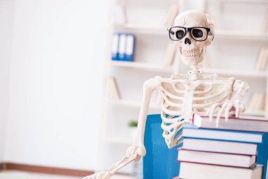 Öğrenci iskeleti sınavlara hazırlanıyor