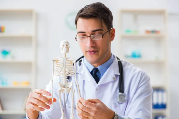 Φοιτητής γιατρός που μελετά τα οστά του σκελετού — Φωτογραφία Αρχείου