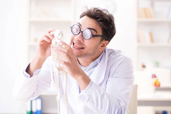 Médico louco estudando esqueleto humano — Fotografia de Stock