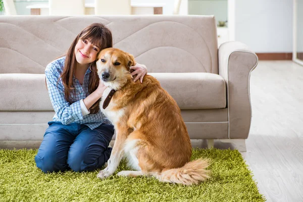 Golden Retriever 'lı mutlu köpek sahibi kadın. — Stok fotoğraf