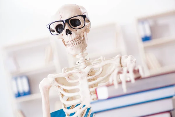 Student skeleton preparing for exams — Stock Photo, Image