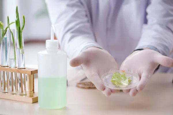 Bioquímico masculino trabalhando no laboratório em plantas — Fotografia de Stock