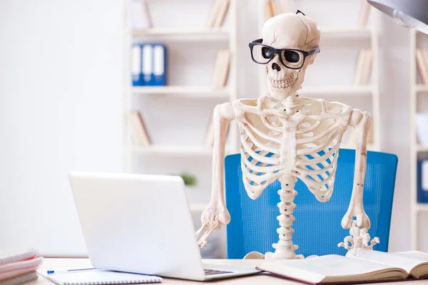 Skeleton businessman working in the office — Stock Photo, Image