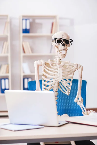 Skeletonský podnikatel pracující v kanceláři — Stock fotografie