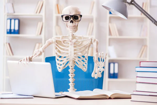 Student skeleton preparing for exams — Stock Photo, Image