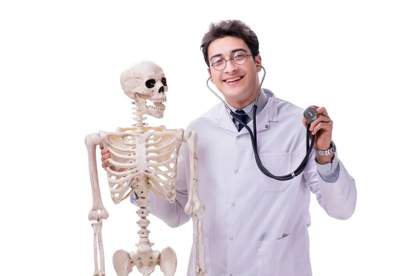 Jeune médecin avec squelette isolé sur blanc — Photo