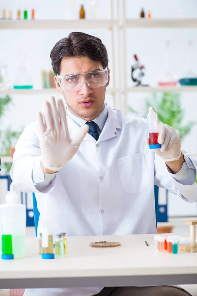 Mužský biochemik pracující v laboratoři na rostlinách — Stock fotografie