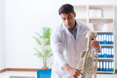 Doktor veteriner köpek iskeleti üzerinde çalışıyor.
