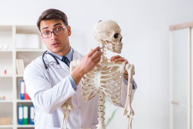 İskeleti beyaz olan Yong erkek doktoru.