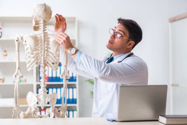 İskeleti beyaz olan Yong erkek doktoru.