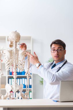 İskeleti beyaz olan Yong erkek doktoru.