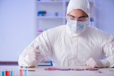 Laboratuvar asistanı hastanede kan örneklerini test ediyor.