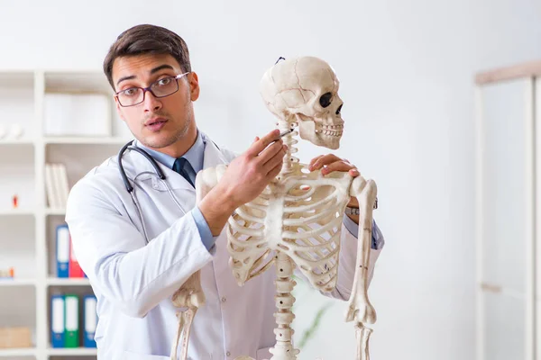 Yong male doctor with skeleton isolated on white — Stock Photo, Image