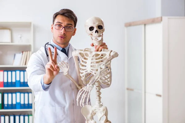 Yong médico masculino com esqueleto isolado em branco — Fotografia de Stock