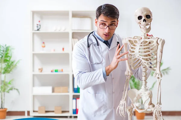 Yong médico masculino com esqueleto isolado em branco — Fotografia de Stock