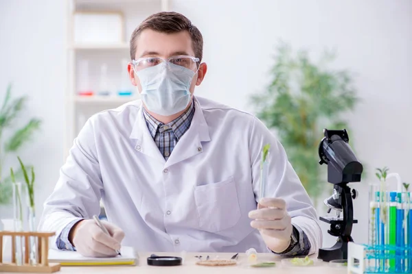 Männlicher Biochemiker arbeitet im Labor an Pflanzen — Stockfoto