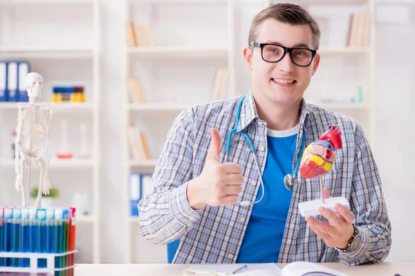 Estudante de medicina estudando coração em sala de aula durante palestra — Fotografia de Stock