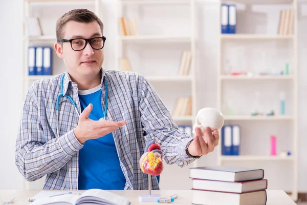 Estudante de medicina estudando esqueleto em sala de aula durante palestra — Fotografia de Stock