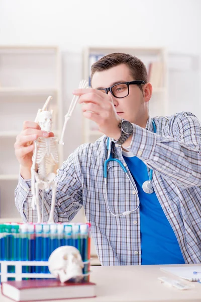 Estudiante de medicina estudiando esqueleto en el aula durante la conferencia —  Fotos de Stock