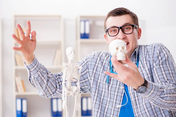 Медичний студент вивчає скелет у класі під час лекції — стокове фото