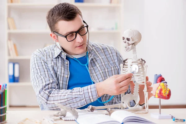 Estudiante de medicina estudiando esqueleto en el aula durante la conferencia —  Fotos de Stock