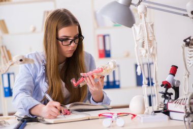 Öğrenci sınıfında oturuyor ve iskelet çalışıyor.