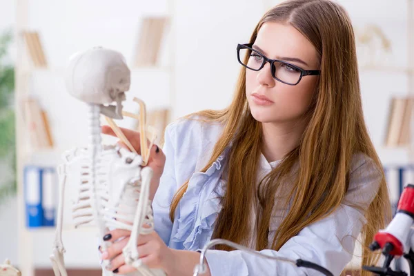 Studente seduto in classe e studiare scheletro — Foto Stock