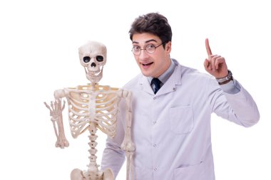 Beyaz izole iskelet ile genç doktor