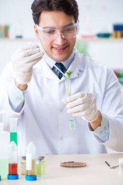 Bitkiler üzerinde çalışan erkek biyokimyacı.