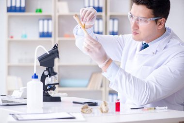 Paleontolojist soyu tükenmiş hayvan kemiklerine bakıyor