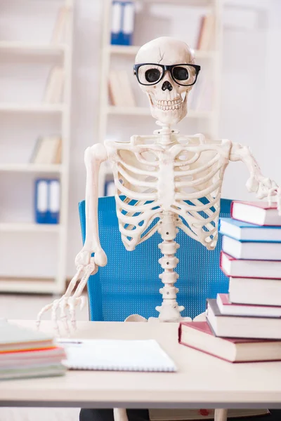 Student skeleton preparing for exams — Stock Photo, Image