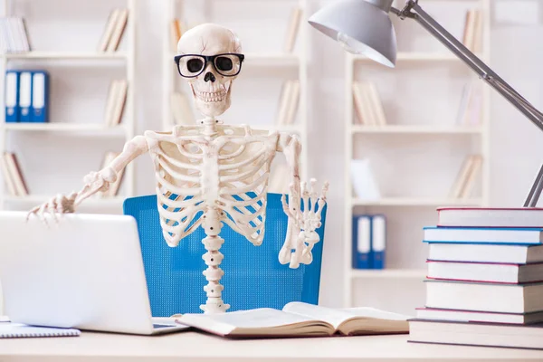 Student skeleton preparing for exams — Stock Photo, Image